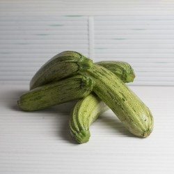 Zucchina Chiara
